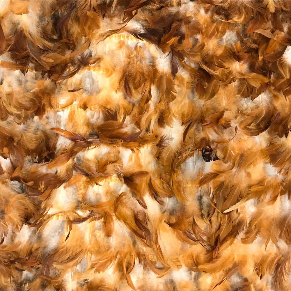 Chicken Feather Trim On Poly Mesh - Image 5