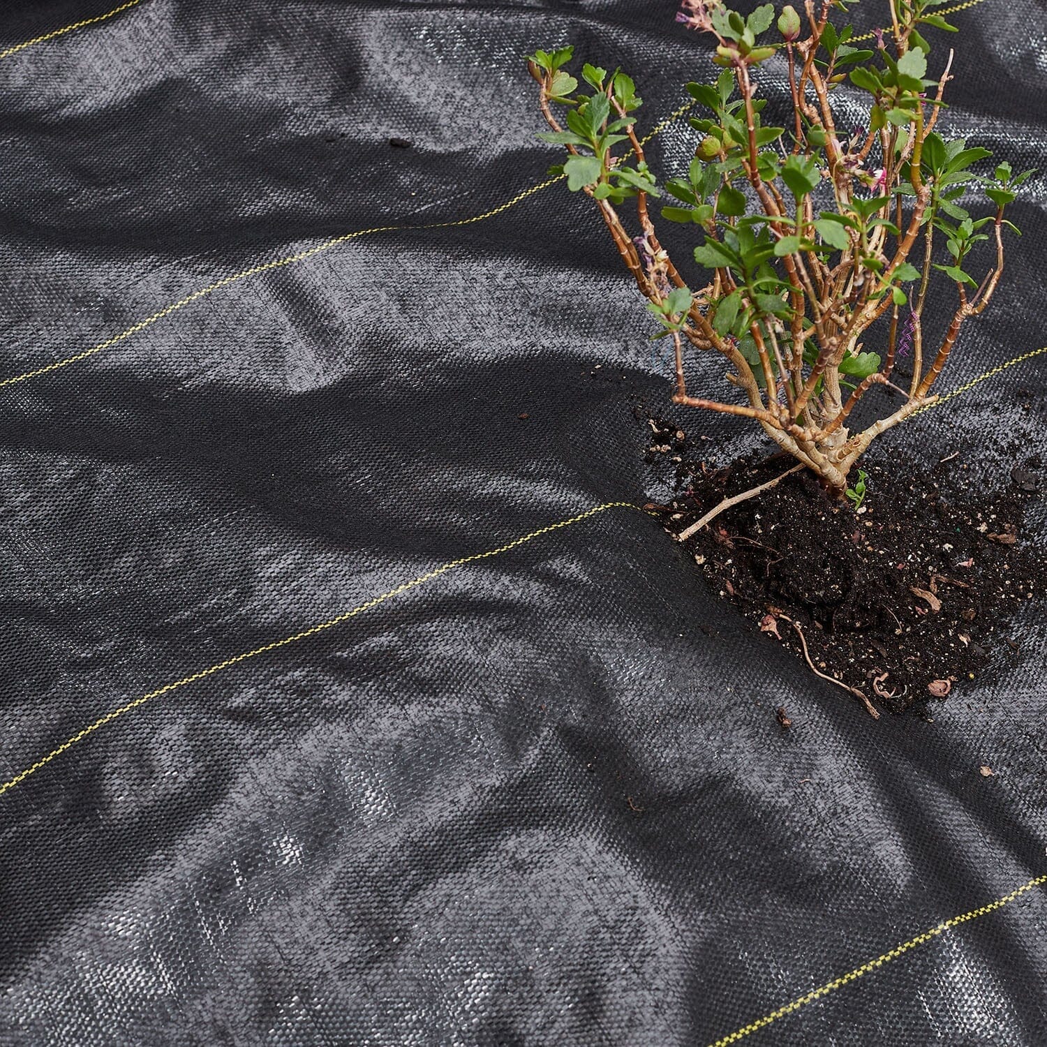 Ottertex® Professional Heavy Duty Weed Barrier Landscape Ground Cover (5 Oz) - Image 3