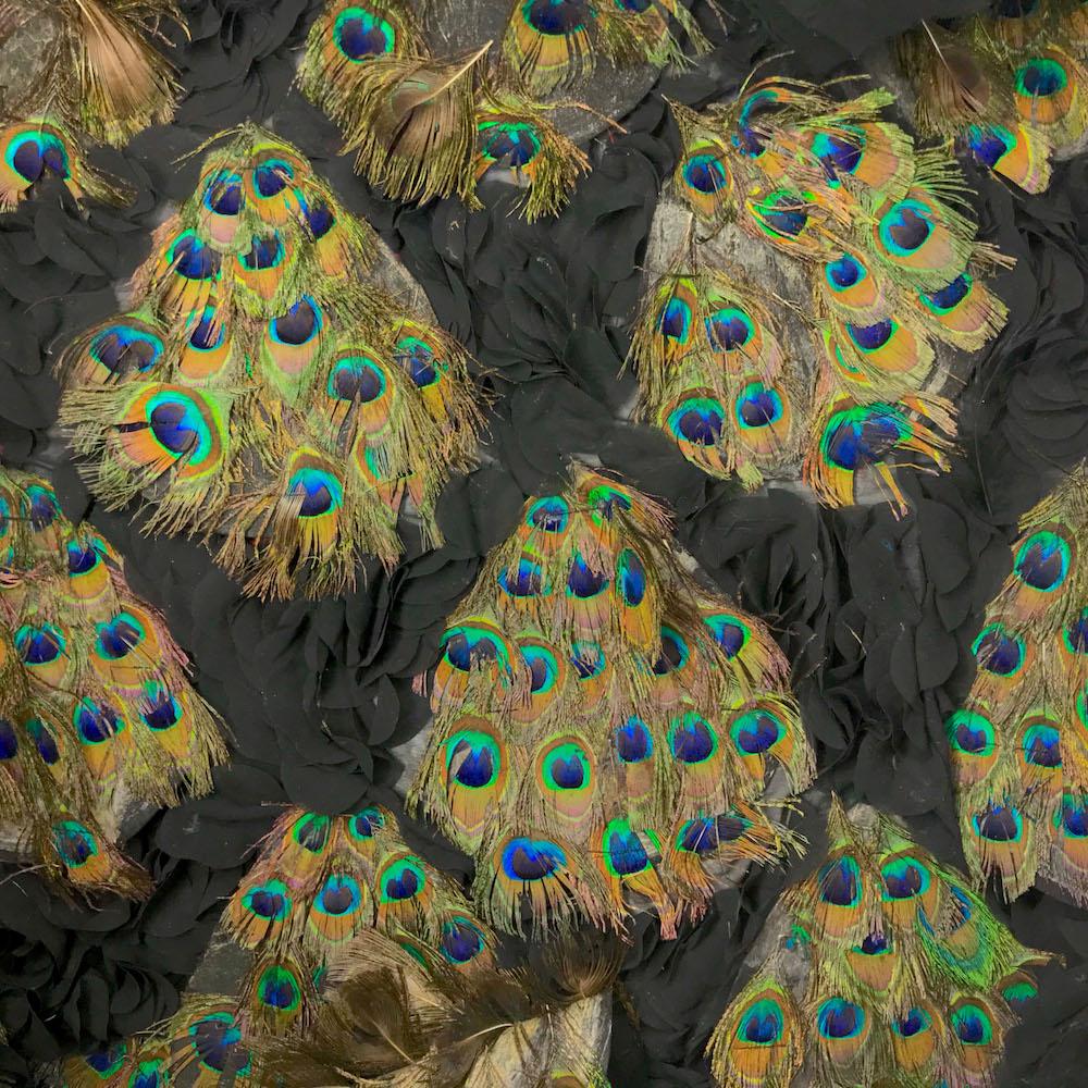 Peacock Feather Patches on Georgette